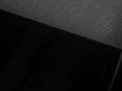 листы полистироля