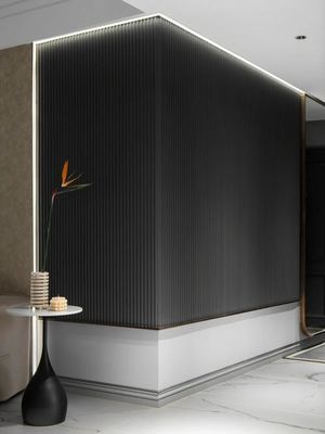 Простая установка наружной стеновой панели из ДПК 2,9 м/3 м/Индивидуальная длина с клипсами и винтами